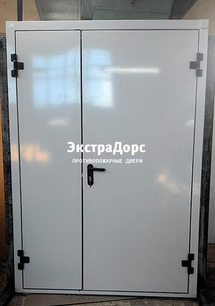 Противопожарная дверь EI 30 3 типа двупольная белая в Зеленограде  купить