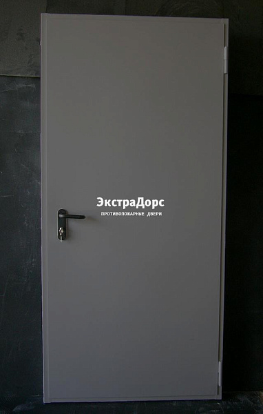Дверь металлическая противопожарная EI 60 ДПМ 2 типа серая в Зеленограде  купить
